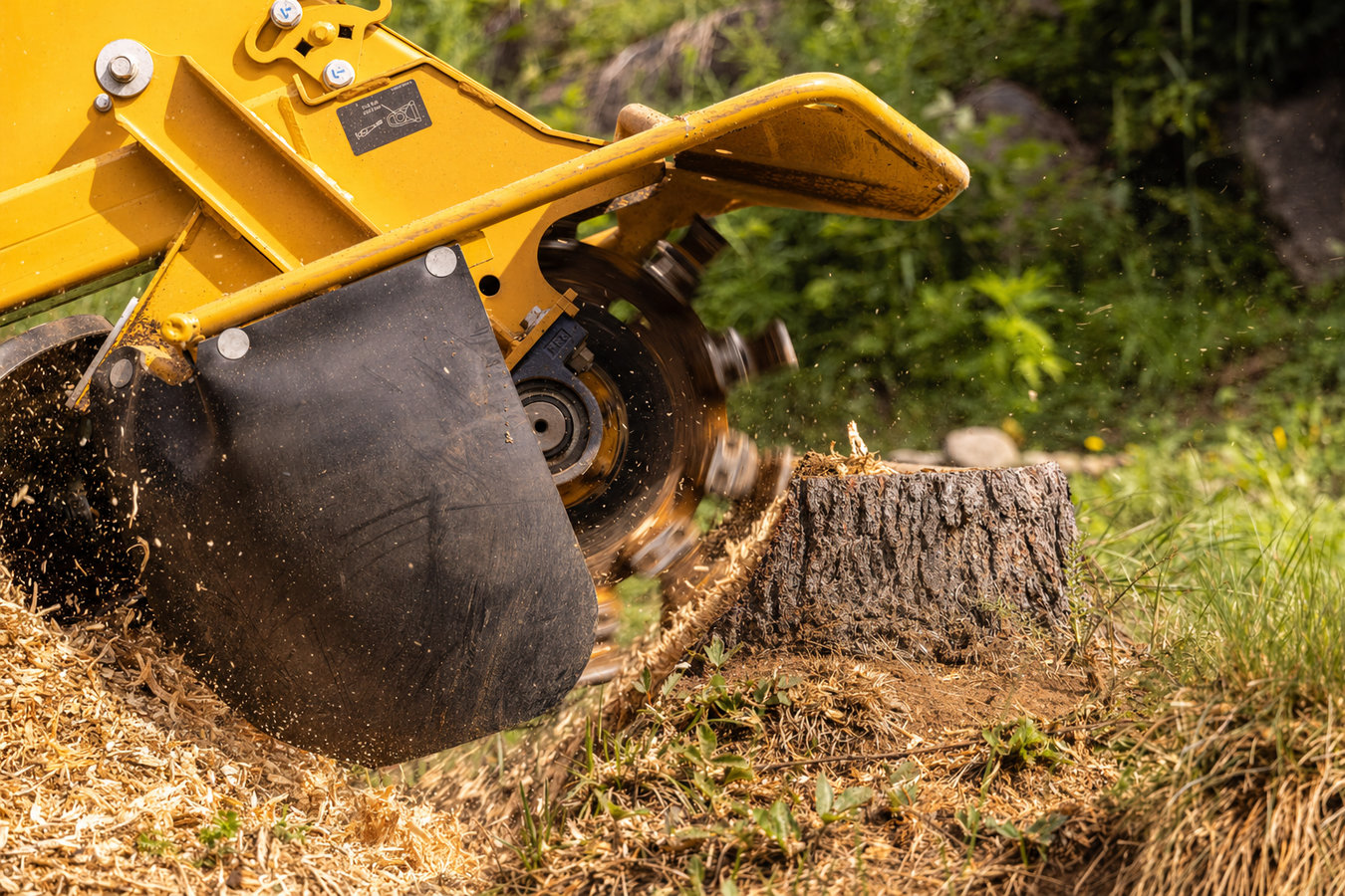 Stump removal in Mead Valley, CA