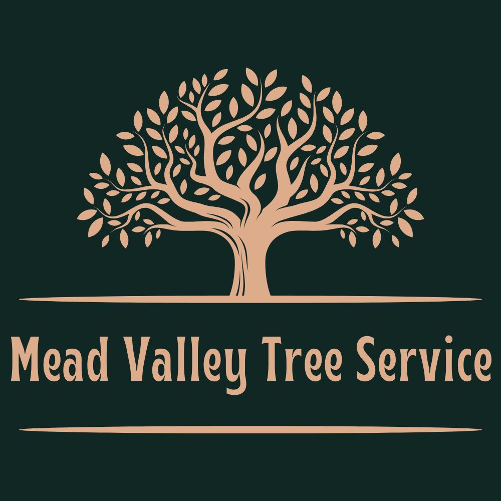 Mead Valley Tree Service